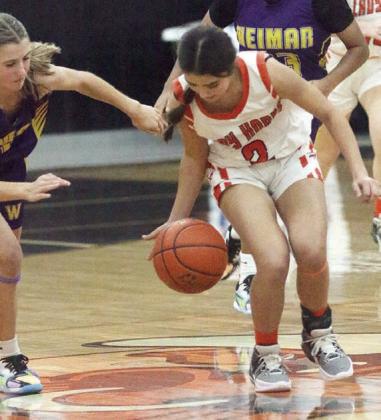 Kendra Salmon steals the ball from a Ladycat in the fourth quarter. Sticker Photo By Darrell Vyvjala