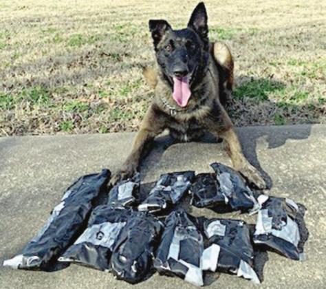 Raw fentanyl worth $637,000 found