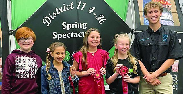 Consumer Decision Making – The team of (from left) Clay Hoffmann, Emery Fricke, Adalyn Emmel and Langley Muphy was second in the junior division. Hoffmann is a member of the Schulenburg 4-H. At right is a District 11 4-H Council officer.