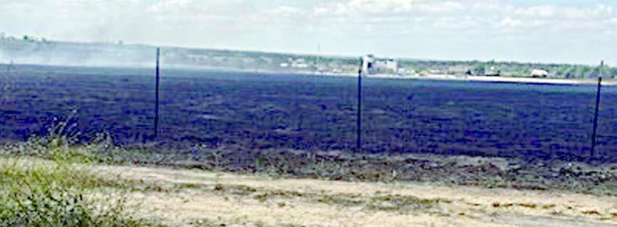 Grass fire burns 22 acres in Ellinger area