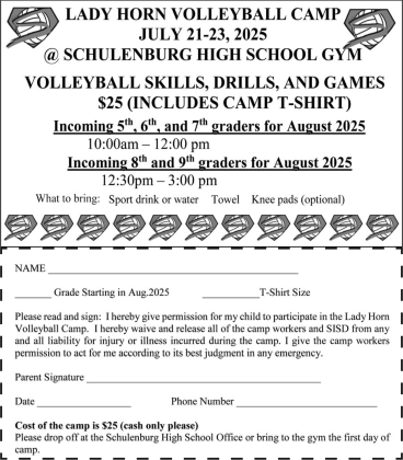 Lady Horn Volleyball Camp