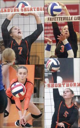 Four Lady Horns named all-state by TGCA