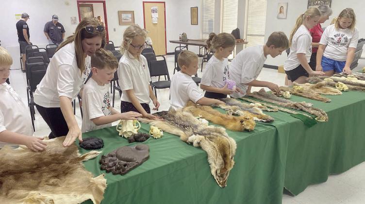 Pelts , skulls, prints and scat are being examined by (from left) Wyatt Smkrkovsky, Kristy Novick, Hudson Novick, Penny Bartek, Miles Krenek, Addy Johnson, Levi Johnson, Brenley Berger and Zoe Krenek.
