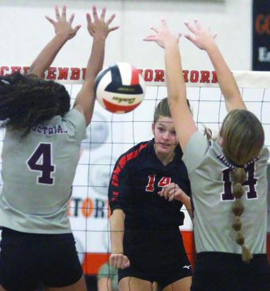 Lady Horns split 8 matches last week