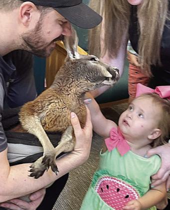 Toddler meets Aussie baby at the library