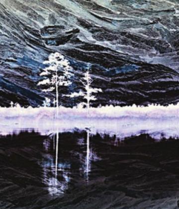Pines by Carol Lyon