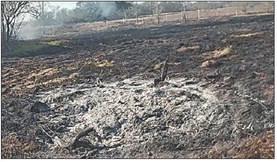 Citation issued for burn ban violation