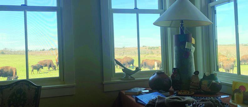 Guest speaker at the Smith-McMillan Chapter, DAR meeting was Suzanne Morriss-Batchelder (left). Her topic was “Our National Mammal: The American Bison.” On the table are her Indian artifacts and visible through the windows in the photo above are the herd of bison which she and her husband own.