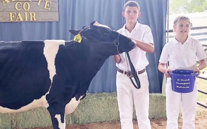 DAIRY SHOW WINNER – Blaine Zapalac (left) of the Schulenburg FFA won grand champion Holstein in the Fayette County Fair dairy show. Also shown is Landry Zapalac (right).