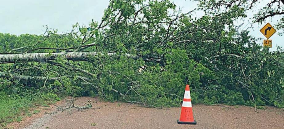Dealing with storm damage