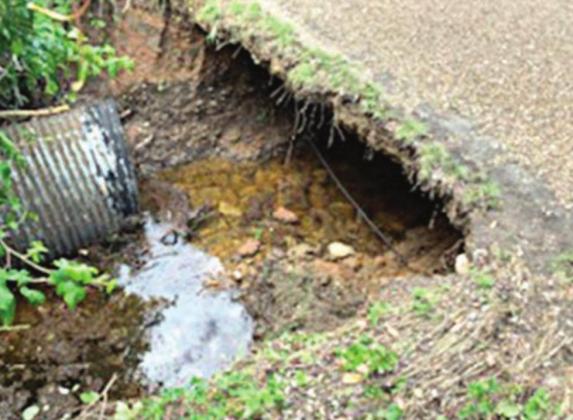 Dealing with storm damage