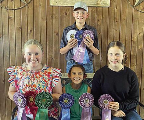 Reserve Champion Junior Team – (front row, from left) Julia Melton, Emma Zweschper, Addison Berckenhoff and (back) Holden Holub. Emma Zweschper and Holden Holub are members of the Schulenburg 4-H.