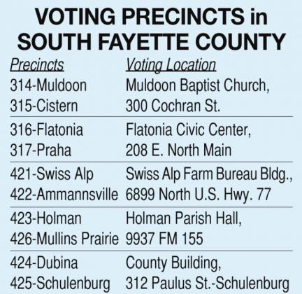 Eight constitutional amendments included on Nov. 2 ballot