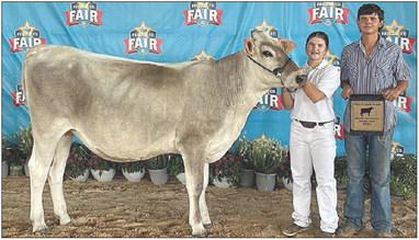 Both the Grand Champion Holstein (top photo) and Grand Champion Brown Swiss (bottom photo) were exhibited by Landry Zapalac (at left in both photos).She is shown with her brother Blaine Zapalac.