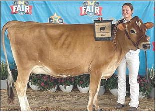 Grand Champion Jersey was exhibited by Mikayla Stang.