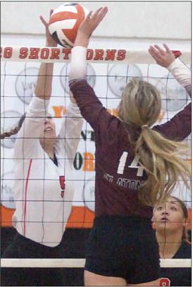 Brooke Redding rejects a Lady Bulldog tip in the first set on Saturday. Sticker Photo By Darrell Vyvjala