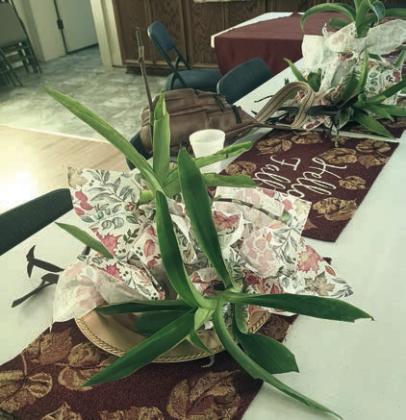 Plants were provided by Mary Demel for each member.