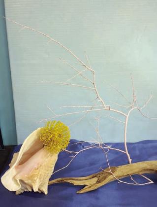Design Winner – Class 1 “Pacific Ocean” by Carol Archer