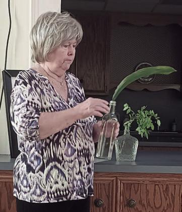 Speaker Bonnie Baker discussed horticulture entries for the flower show.