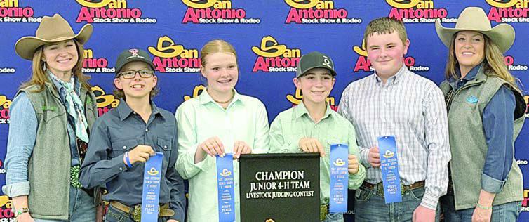 Fayette County 4-H teams win at San Antonio Livestock Judging Contest