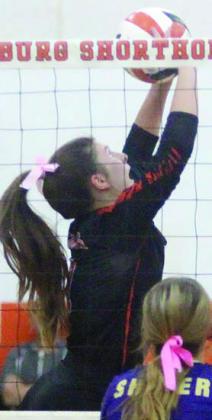 accolades for Magliolo, Zapalac