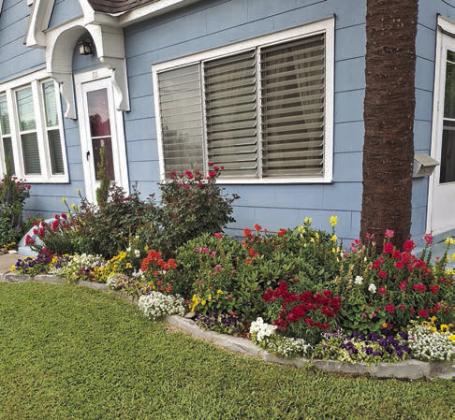 May yard of the month announced
