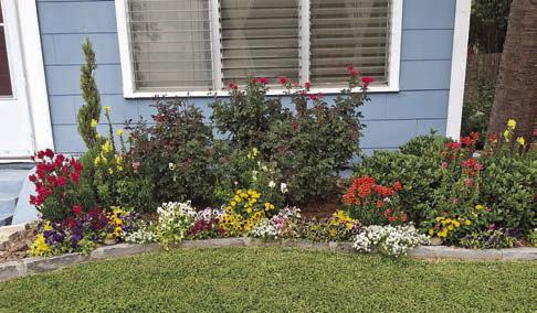 May yard of the month announced