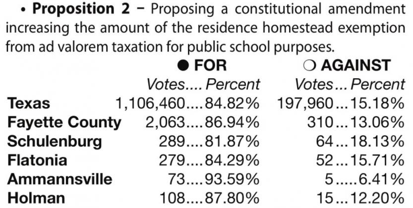 County, state voters approve amendments
