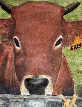 2025 Art Submission – Brianna Mikush, 10th grade, age 16, submitted artwork titled “La Vaca,” a colored drawing of a cow with tag, in the Hallet Oak Gallery’s Western Art Student Exhibition through Hallettsville High School art teacher, Staci Powers.