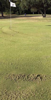 Leads sought on damage to Flatonia Golf Course