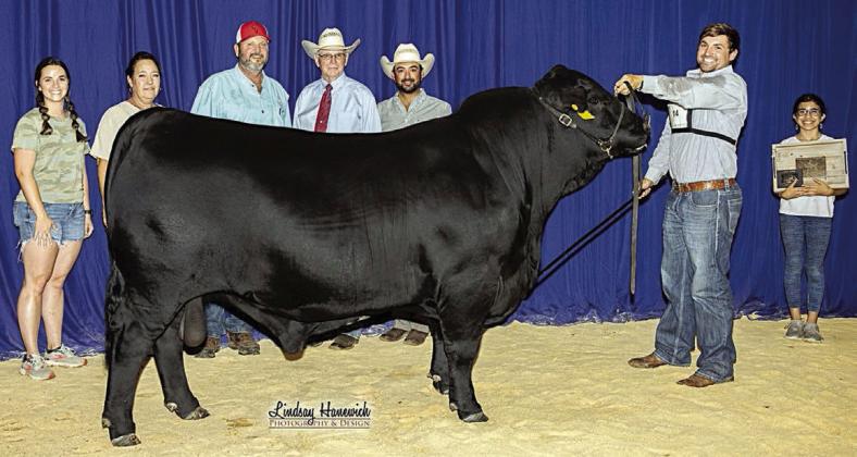 Champions Valley Brangus exhibits grand champion at Brazos Expo