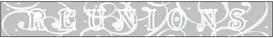 Alt Text for Image