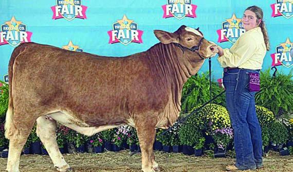 Grand Champion Heifer – exhibited by Rheagan Karisch.
