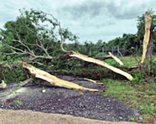 Friday night storm damage