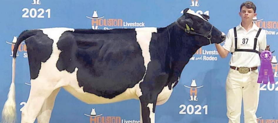 BLAINE ZAPALAC – Reserve Junior Champion Brown Swiss, second place Senior Showmanship Brown Swiss, Junior Champion Holstein, and Honorable Mention Holstein Cow
