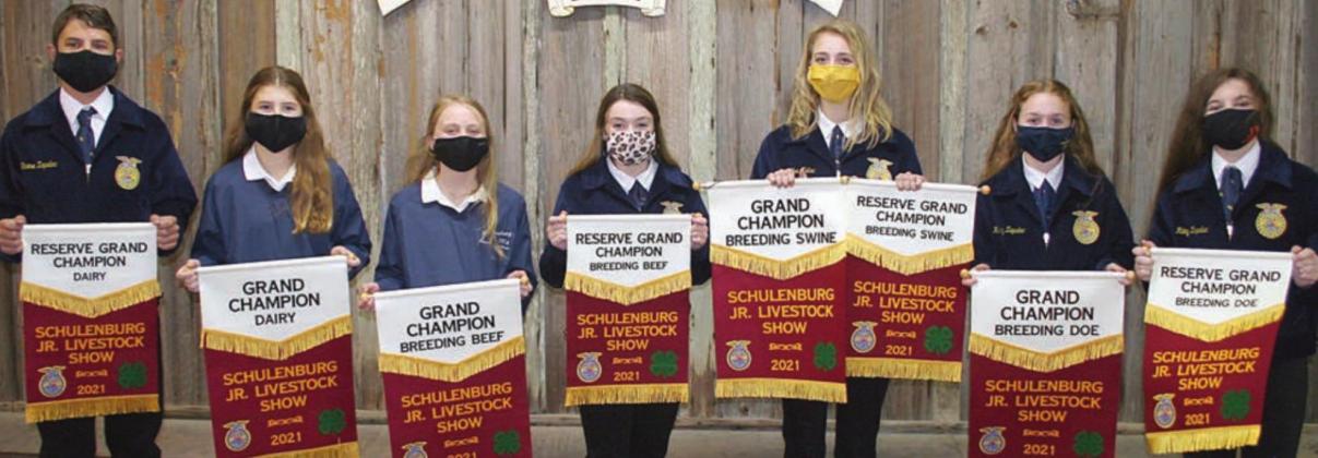 Breeding Show winners