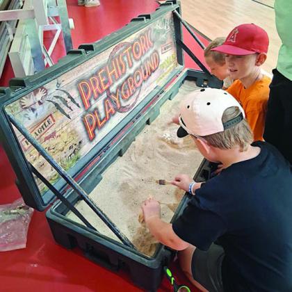 Young paleontologists excavate a variety of dinosaur species in the Prehistoric Playground.