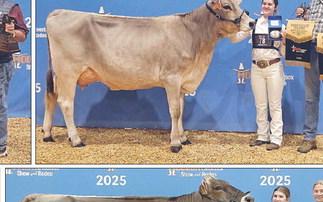 Landry Zapalac (left) was awarded grand champion Holstein female as well as reserve champion Holstein junior female. She is shown with her brother, Blaine Zapalac (right).