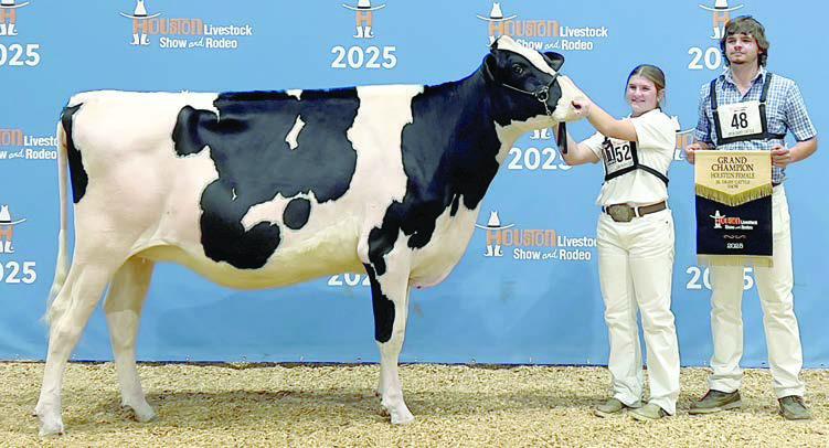 Stang and Zapalac exhibit dairy champions at Houston Stock Show