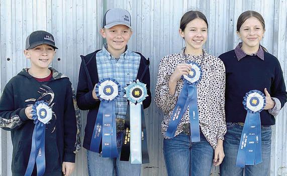 Fayette County 4-H’ers do well at Wilson County Livestock Judging Contest