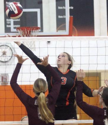 Strong start for Lady Horns