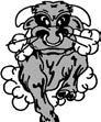 Shorthorn News