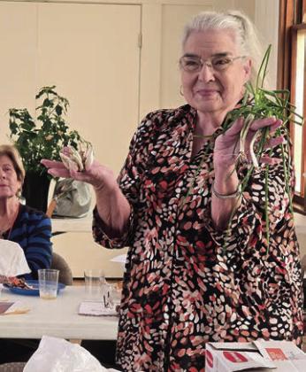Members share experiences at Garden Club meeting
