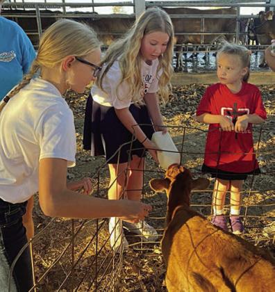 Taking a turn at feeding the baby calf is Brenley Berger (center) as two other Science Club members look on.