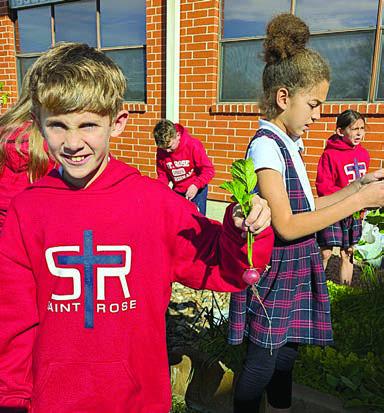 St. Rose garden project update for November to January given