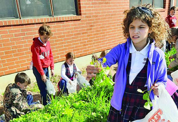St. Rose garden project update for November to January given