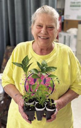 Donating tomatoes and pepper plants to members were Doug Janda and Hostyn Greenhouses. Annette Jasek is shown with her selection.