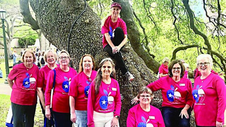 Fayett e Co unty Retired Teachers Asso ciation members attending the TRTA Day at the Capitol were (from left) Linda Oltmann, Chris Morrison, Kim Joost, Lisa Slinkard, Melanie Mica, Kathy Migl, Debbie Morrill, Peggy Halamicek and (in back on tree) Jaci Elliott.