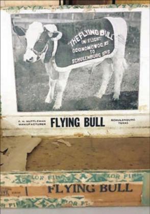 After the audacious Texas-sized publicity stunt took place, a brand of cigars made in Schulenburg was named after Carnation Badger the Flying Bull.
