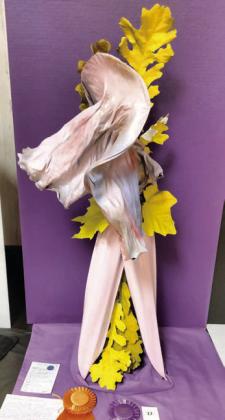 Designer’s Choice Award in Section B-Dance – Mary Demel